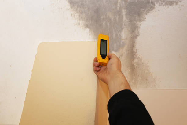 Best Post-Remediation Verification Testing  in Evansburg, PA