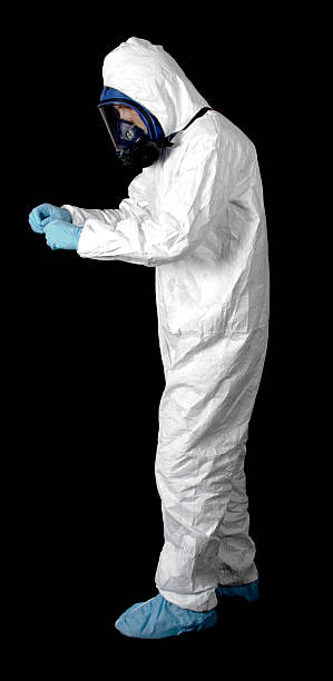 Best Black Mold Removal  in Evansburg, PA
